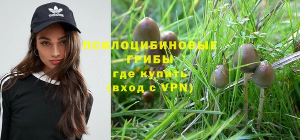 первитин Медвежьегорск