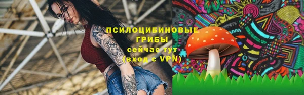 первитин Медвежьегорск
