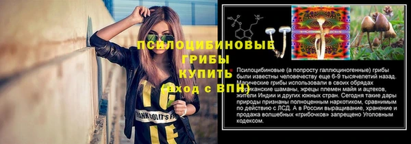 а пвп мука Медногорск